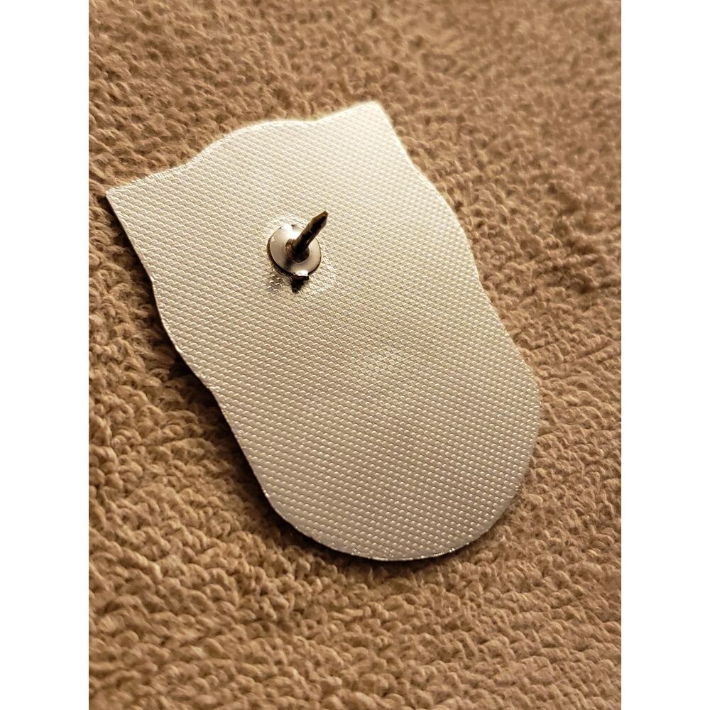 Motorcycle Riding Pin - Bikers Strike Out Against Diabetes Pin - Picture 3 of 8